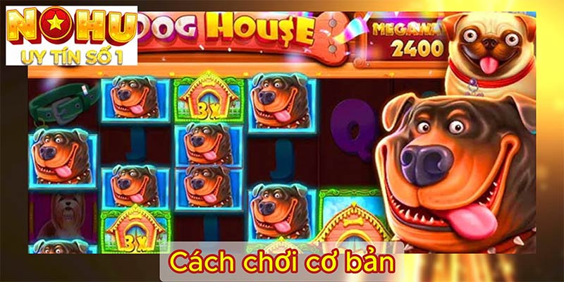 Cách chơi cơ bản