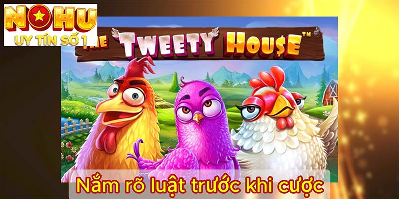 Nắm rõ luật trước khi cược